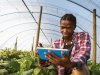 Generation Africa: Inspiring Young Africans To Become Agri-Food Entrepreneurs
