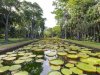 10 Most Beautiful Gardens in Africa