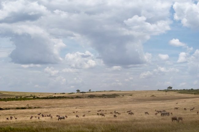 Top 5 Safari Destinations In Africa You Should Visit