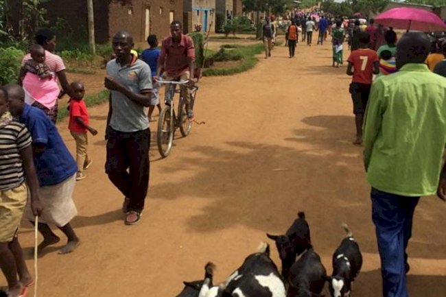 Big Returns For Businesses In Rutenderi Thanks To New Mini-Grid