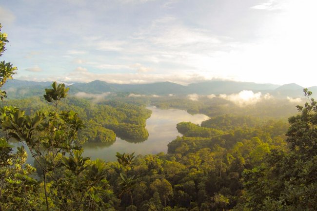 Gabon first African country to receive funding for preserving its rainforests