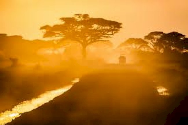 Africa Travel Do’s & Don’ts Amid COVID-19