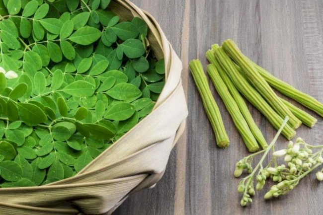 Plants Fruits And Herbs On The Continent As Alternative Sources Of Medicine