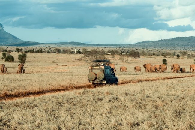 Best Tanzania Safari for Modern day's travelers!