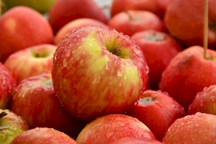 Health Benefits Of Eating Apples